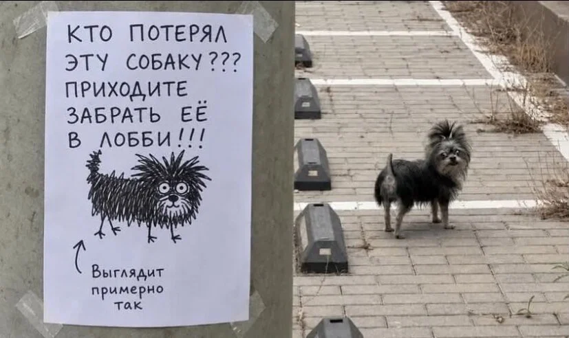 дички из поезда (2 день)