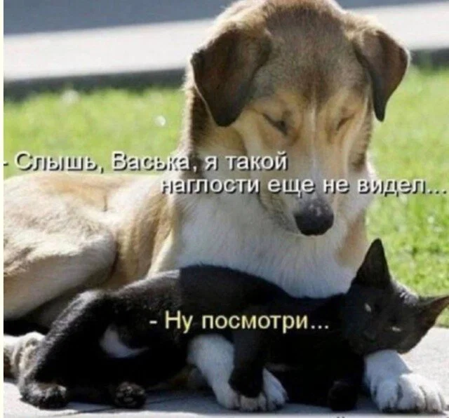 дички из поезда (2 день)