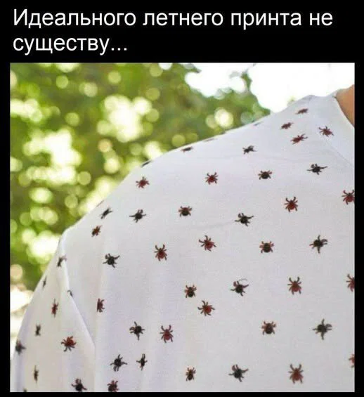 дички из поезда (2 день)