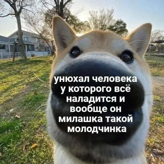 дички из поезда (2 день)