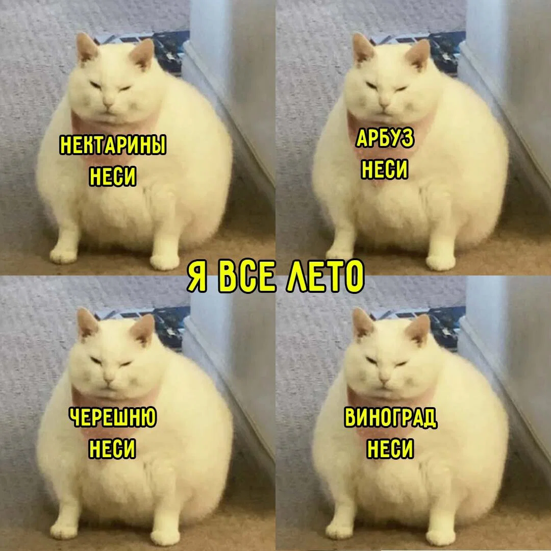 дички из поезда (2 день)