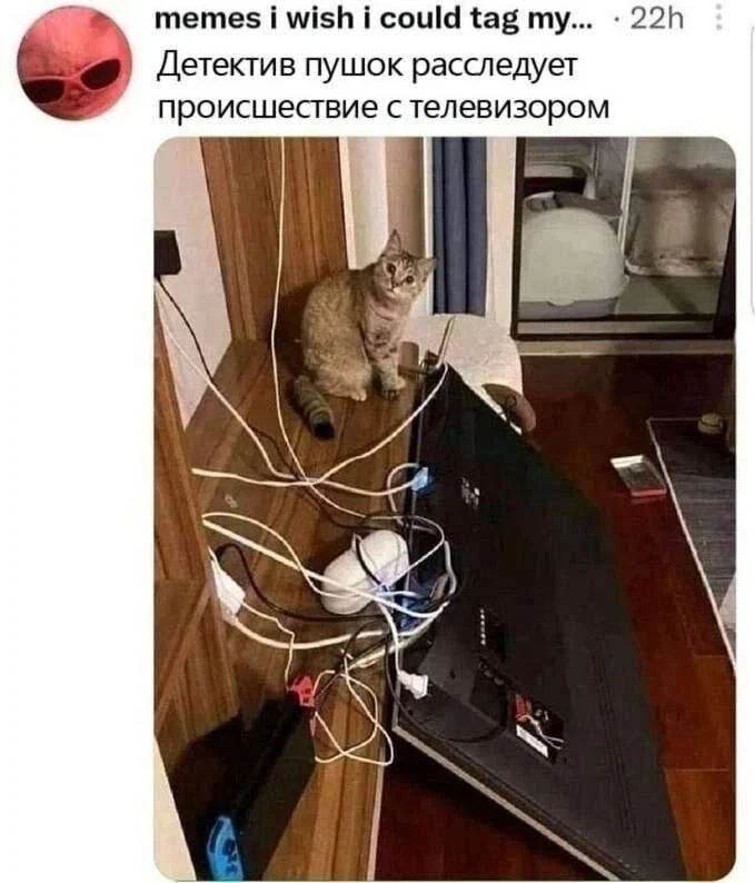 дички из поезда (2 день)