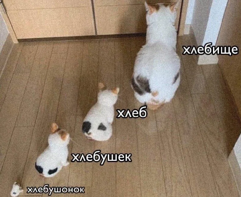 Дички для сна