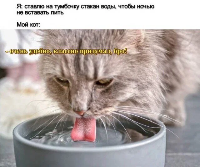 Дички для сна
