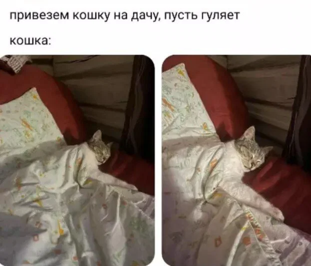 Дички для сна