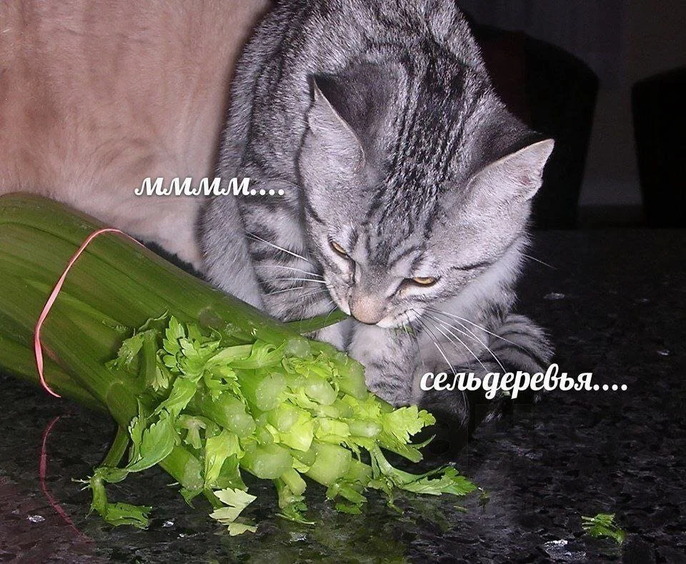 Дички для сна
