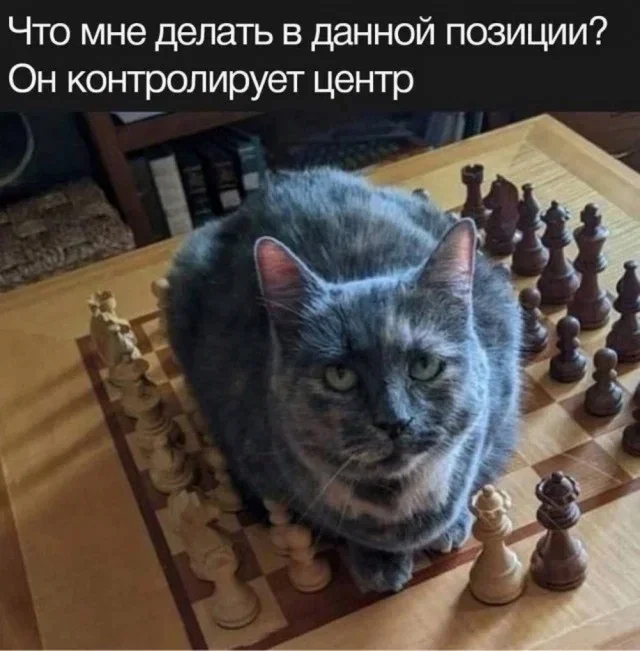 Дички эндшпиль