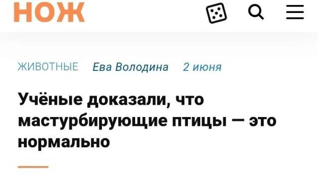 дички лучики добра, из вагона номер... три