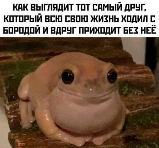 дички лучики добра, из вагона номер... три
