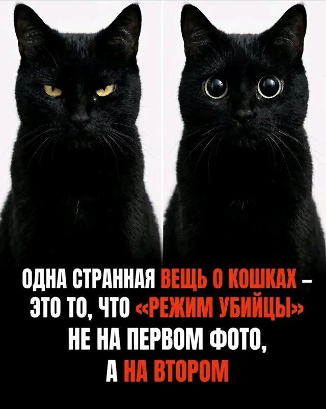 дички лучики добра, из вагона номер... три