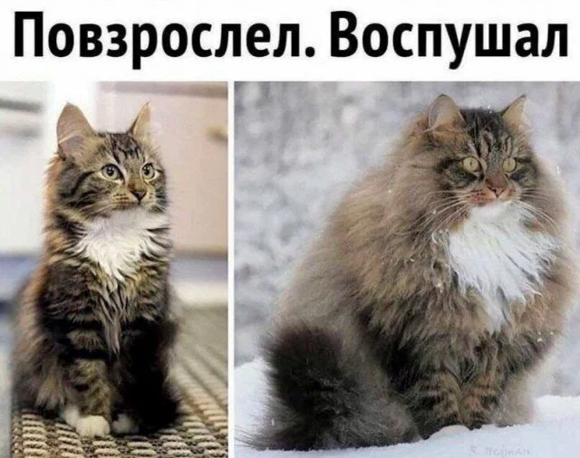 дички лучики добра, из вагона номер... три