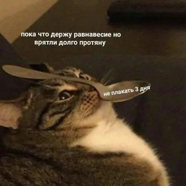дички лучики добра, из вагона номер... три