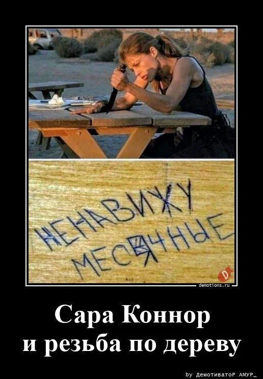 дички лучики добра, из вагона номер... три