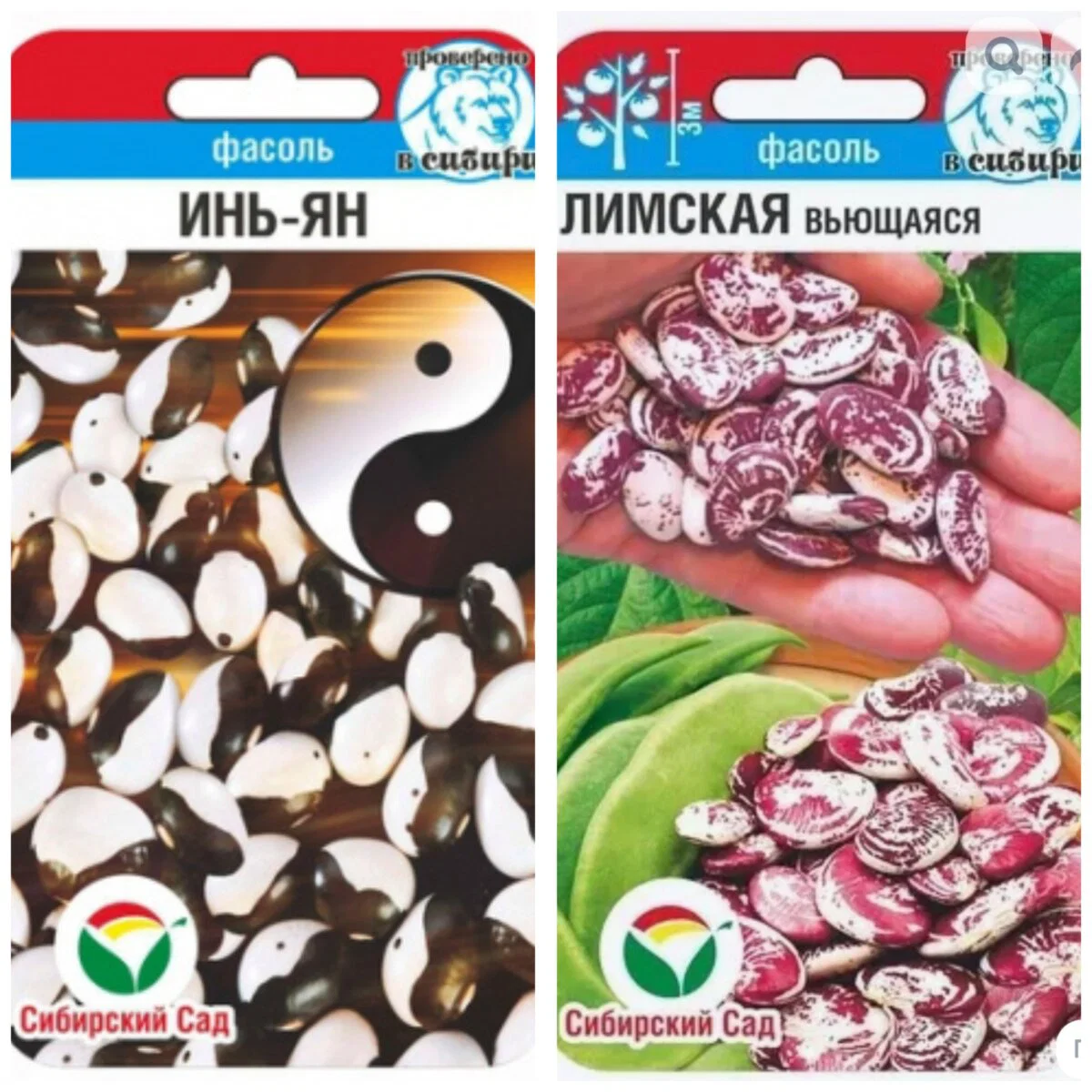 Упаковка семян фасоли