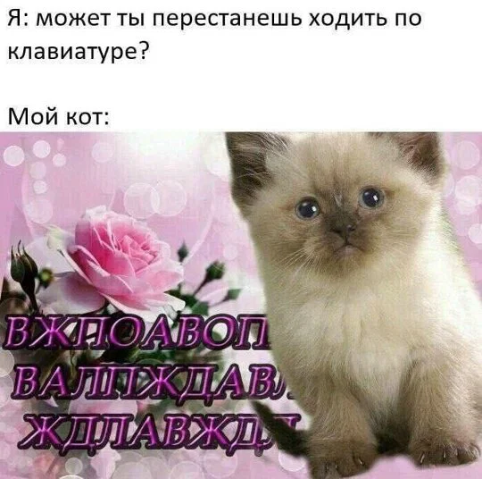 дички с поездных станций
