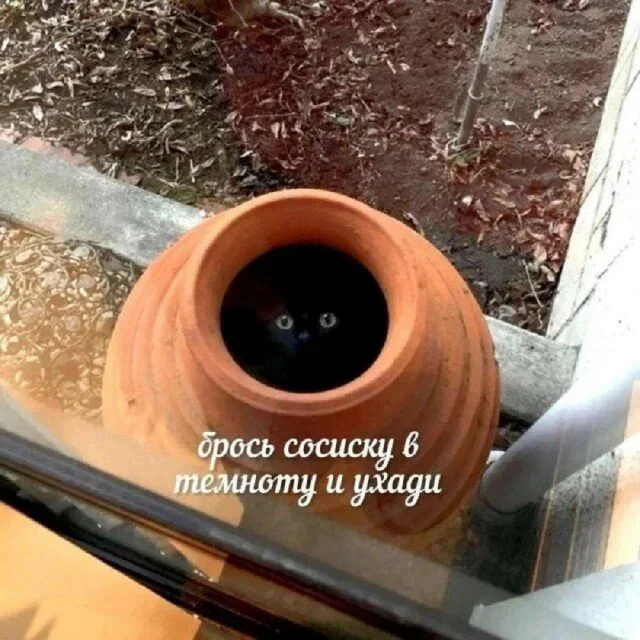 дички с поездных станций