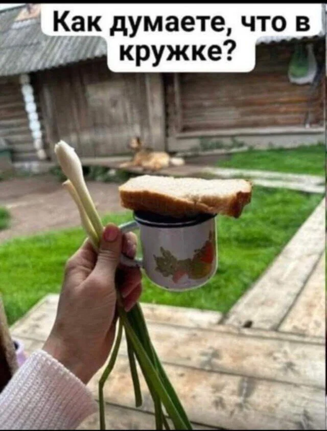дички с поездных станций