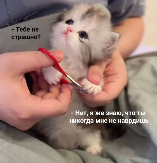 дички с поездных станций