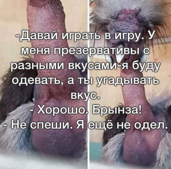 дички с поездных станций