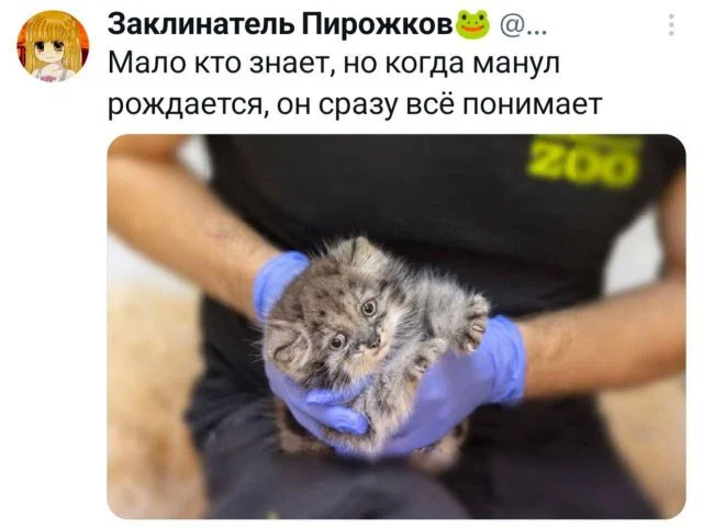 дички стандартной