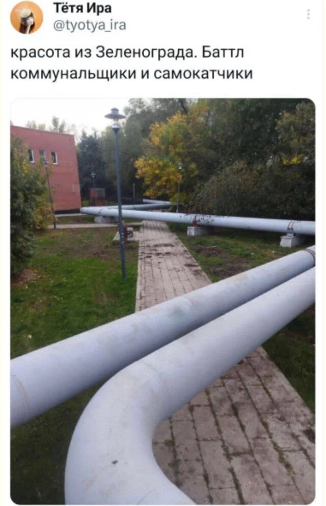 дички стандартной