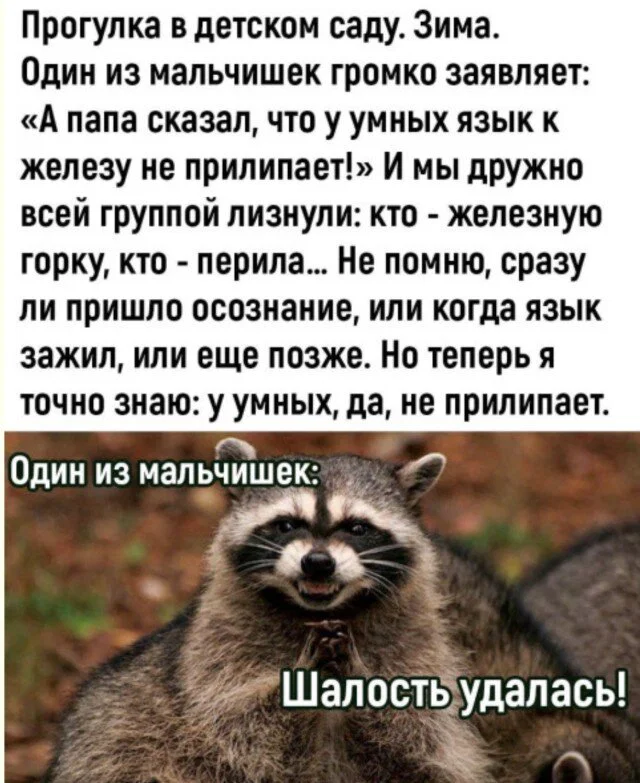 дички стандартной