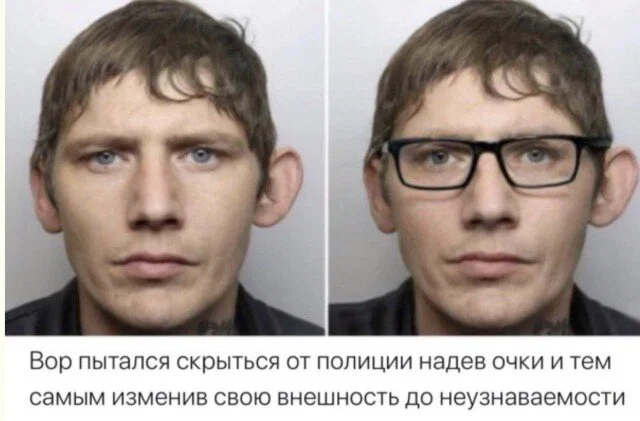дички стандартной