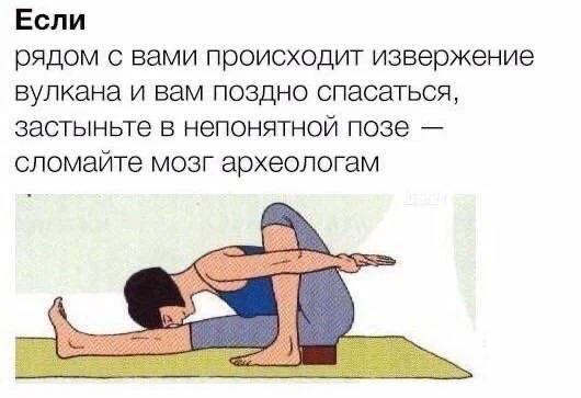 дички стандартной