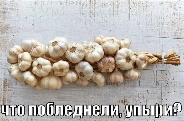 дички стандартной