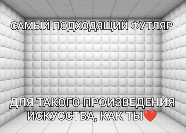 дички стандартной