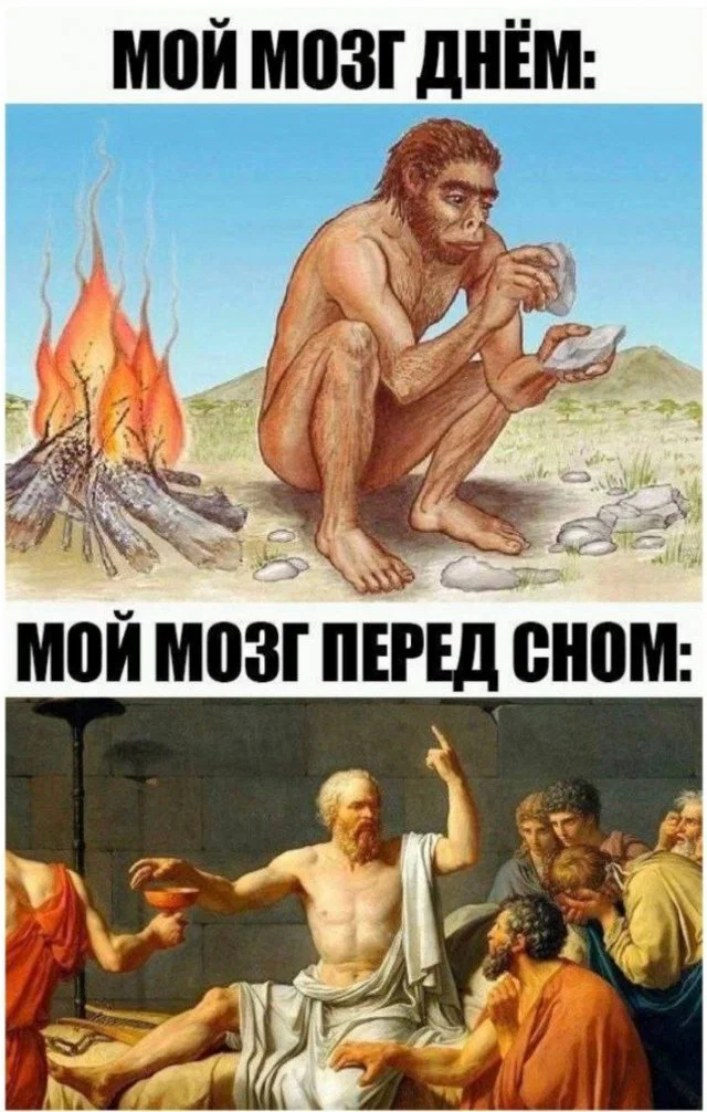 дички стандартной