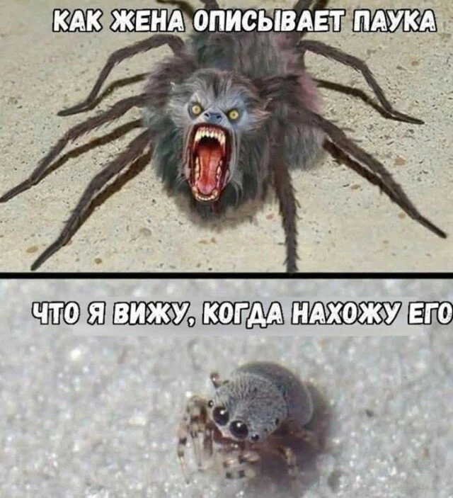 Дички с приездом до дома!