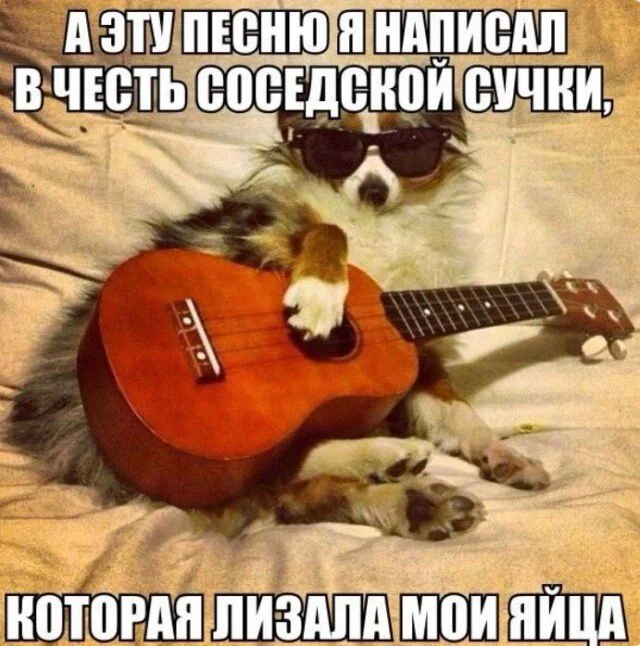 Дички с приездом до дома!