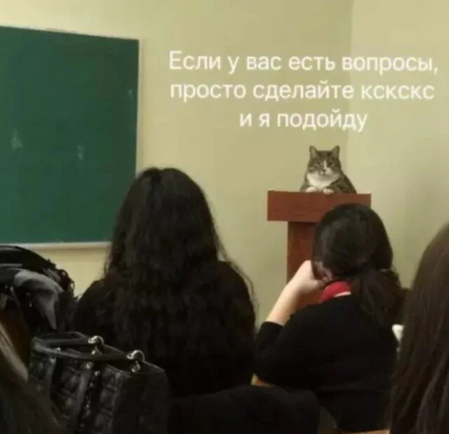 Дички с приездом до дома!