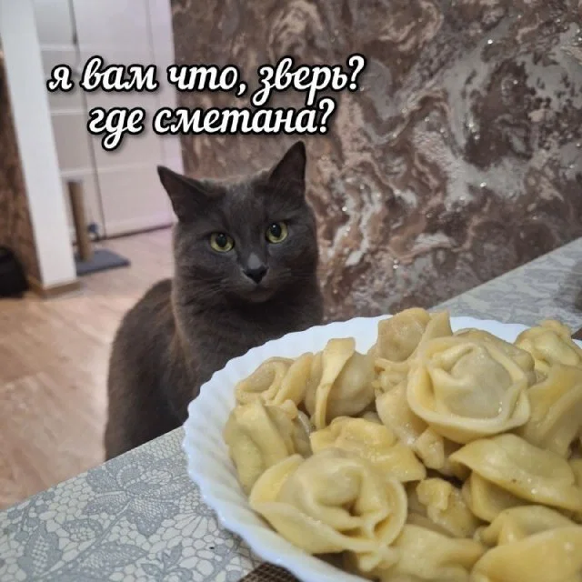Дичка пятничная