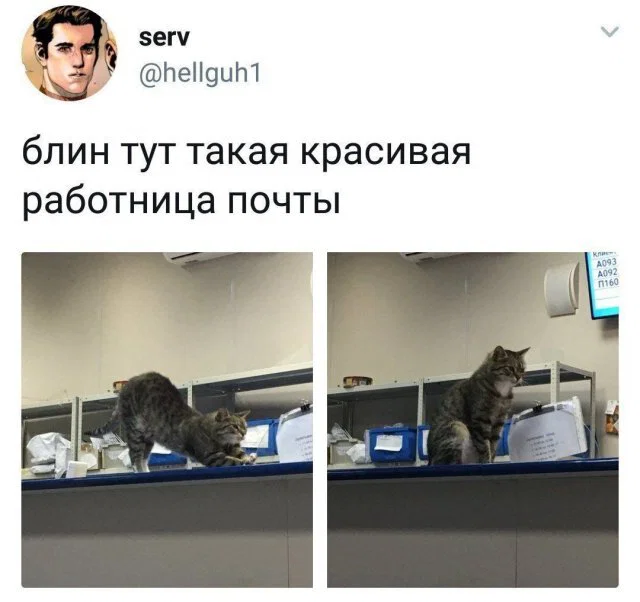Дичка пятничная