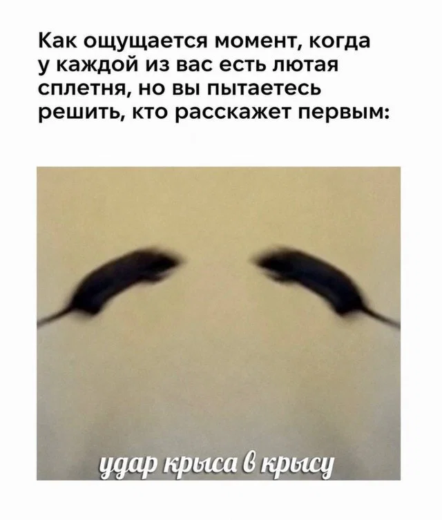 Дичка пятничная