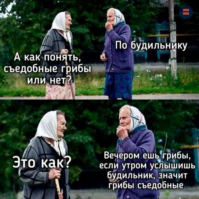 Дичка пятничная