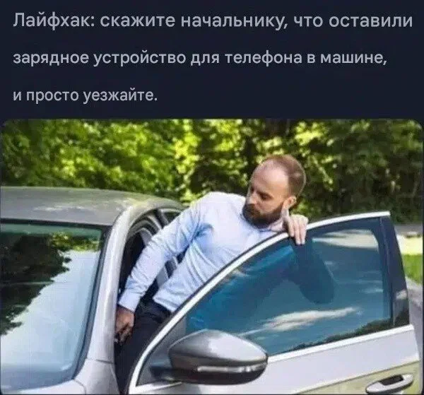 Дички для выходных