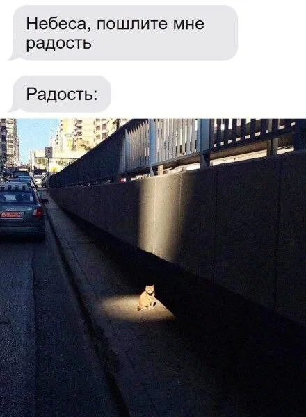 Дички для выходных