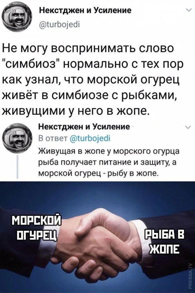 Дички для выходных