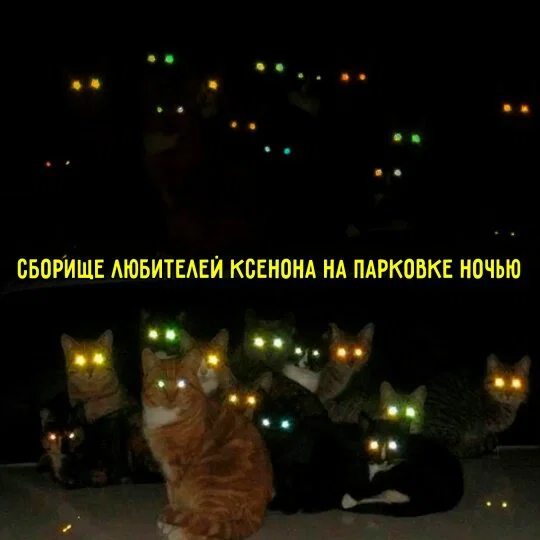 Дички для выходных