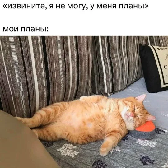 Дички для выходных