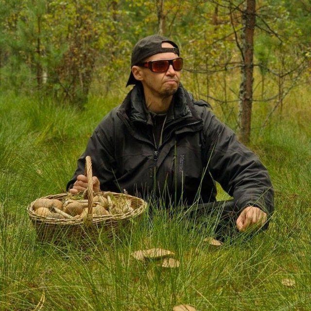   Следующие цели по этим грибам - это 1000 штук за день. 100 кг за 2-3 дня. 30 кг за день. Но видимо уже в следующем сезоне, в этом году они уже сходят. 