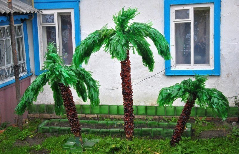 Русские пальмы
