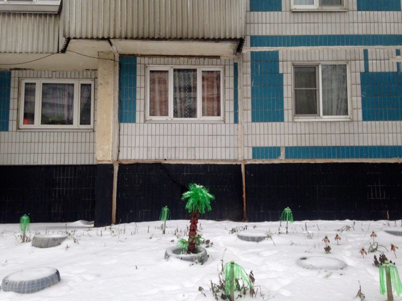 Бирюлёво, Москва