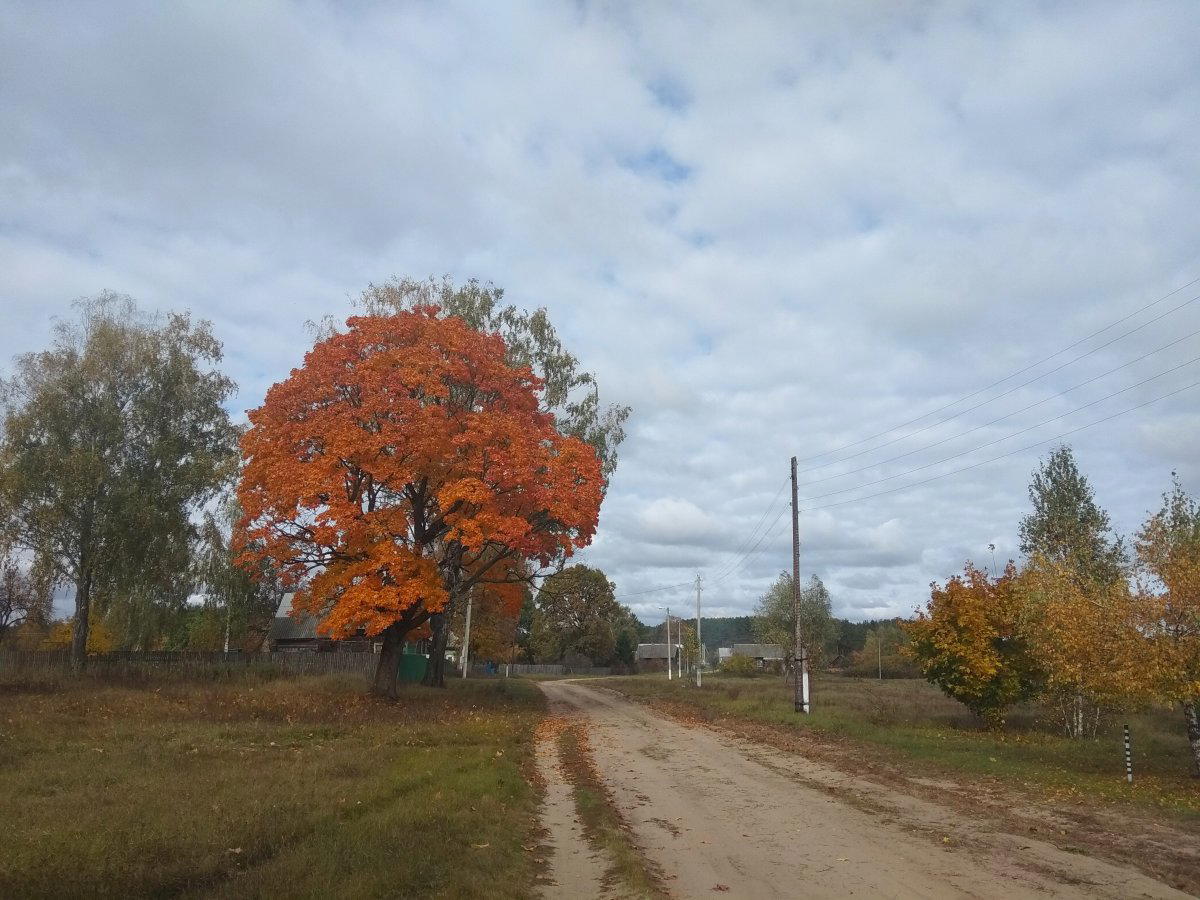 Осенних фоточек вам в ленту