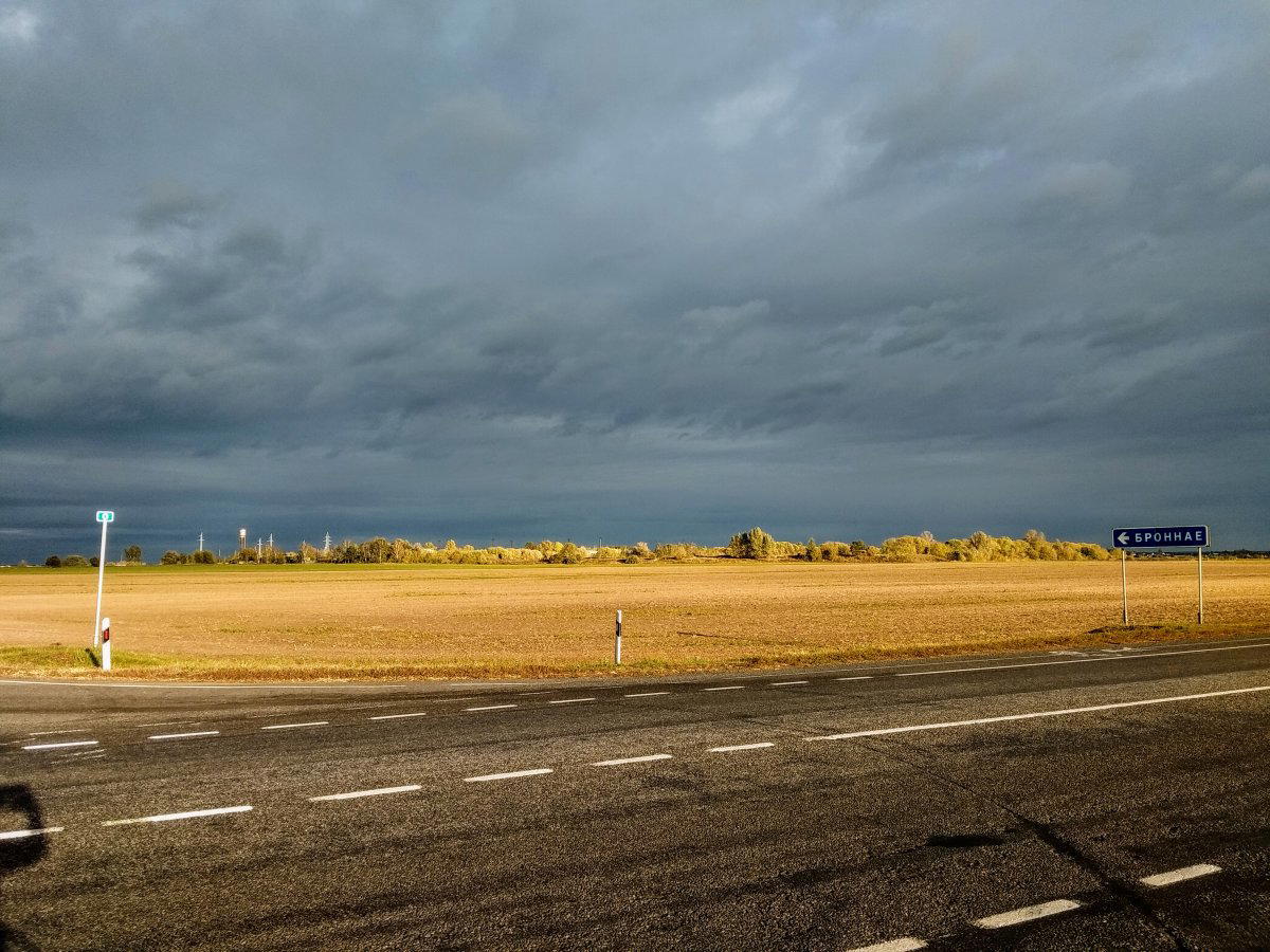 Осенних фоточек вам в ленту