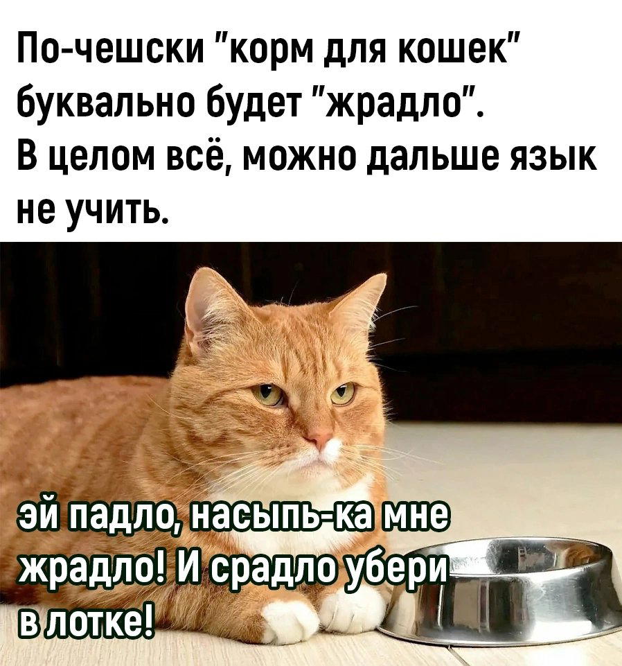 Теперь я знаю чешский)