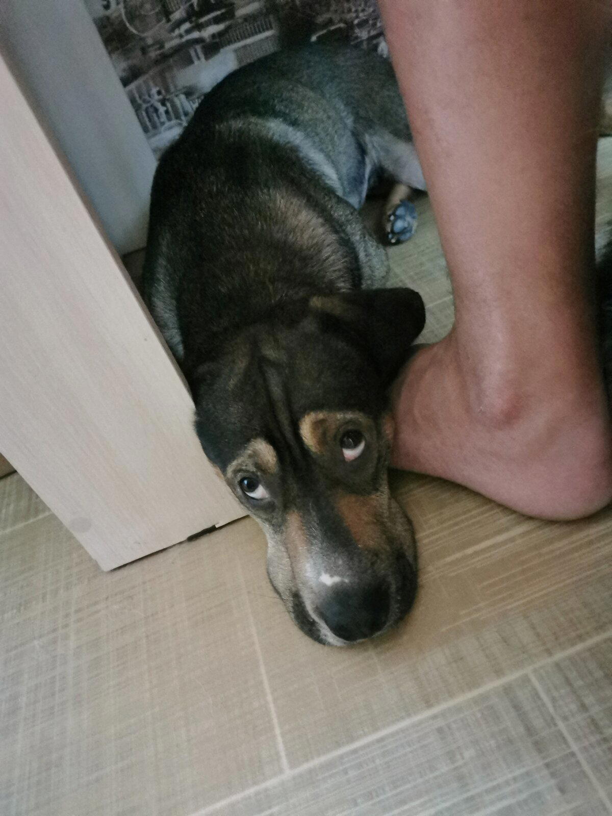 Ночной дожор